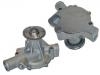 Wasserpumpe Water Pump:21010-R9025