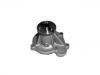 Water Pump:21010-41B00