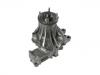 Water Pump:16100-39485